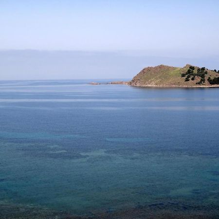 Birds Bay Resort Πέτρα Εξωτερικό φωτογραφία
