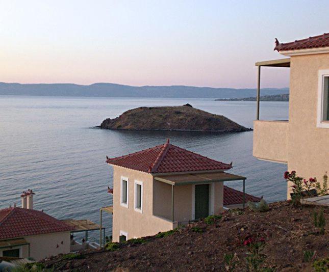 Birds Bay Resort Πέτρα Εξωτερικό φωτογραφία