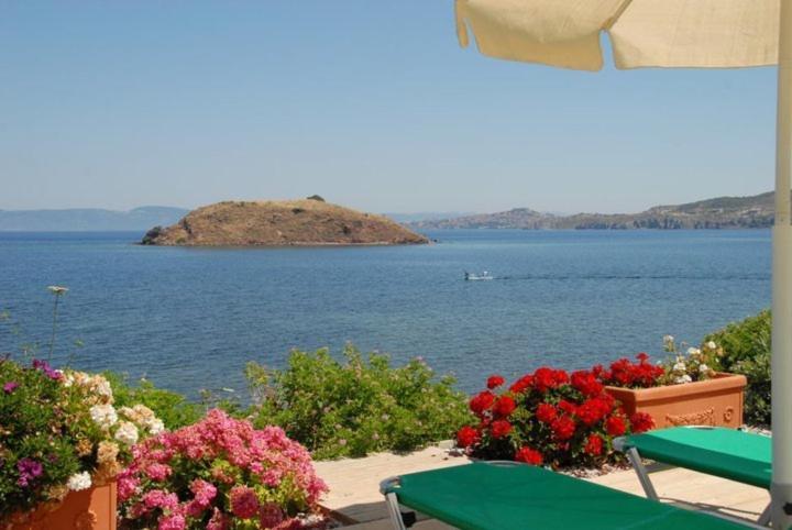 Birds Bay Resort Πέτρα Εξωτερικό φωτογραφία