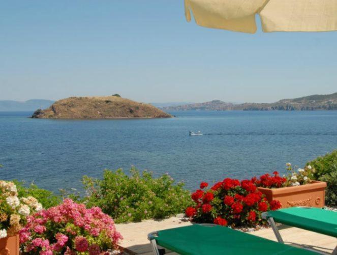 Birds Bay Resort Πέτρα Δωμάτιο φωτογραφία