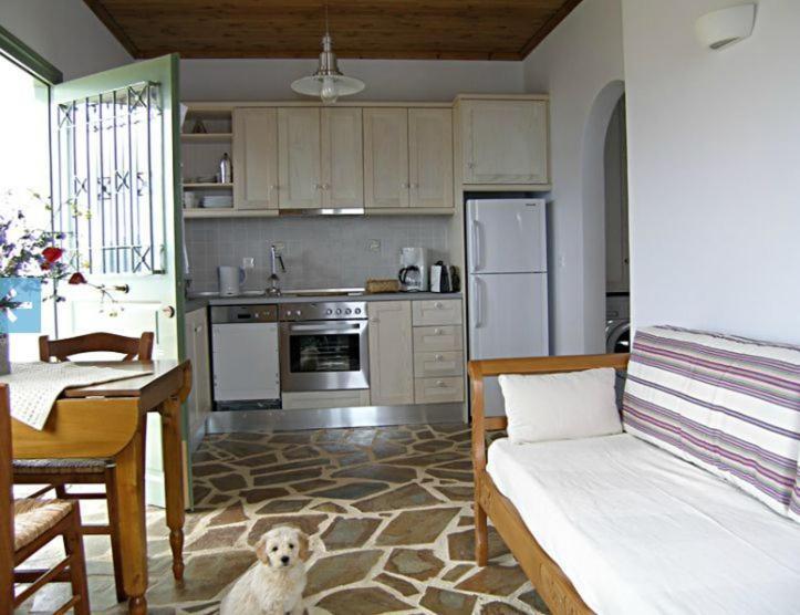 Birds Bay Resort Πέτρα Δωμάτιο φωτογραφία