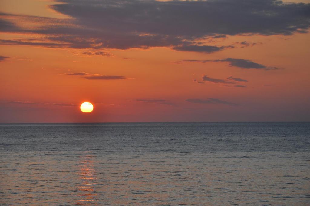 Birds Bay Resort Πέτρα Εξωτερικό φωτογραφία