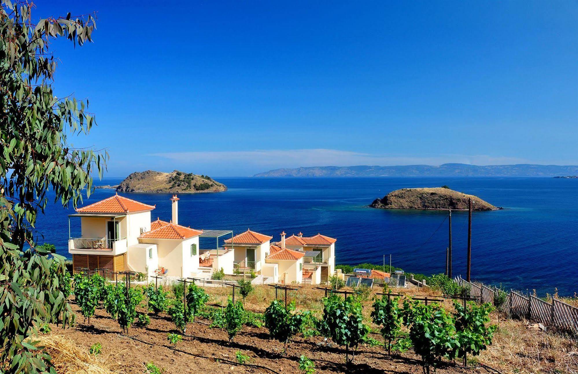 Birds Bay Resort Πέτρα Εξωτερικό φωτογραφία